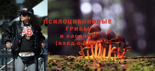 кокс Баксан